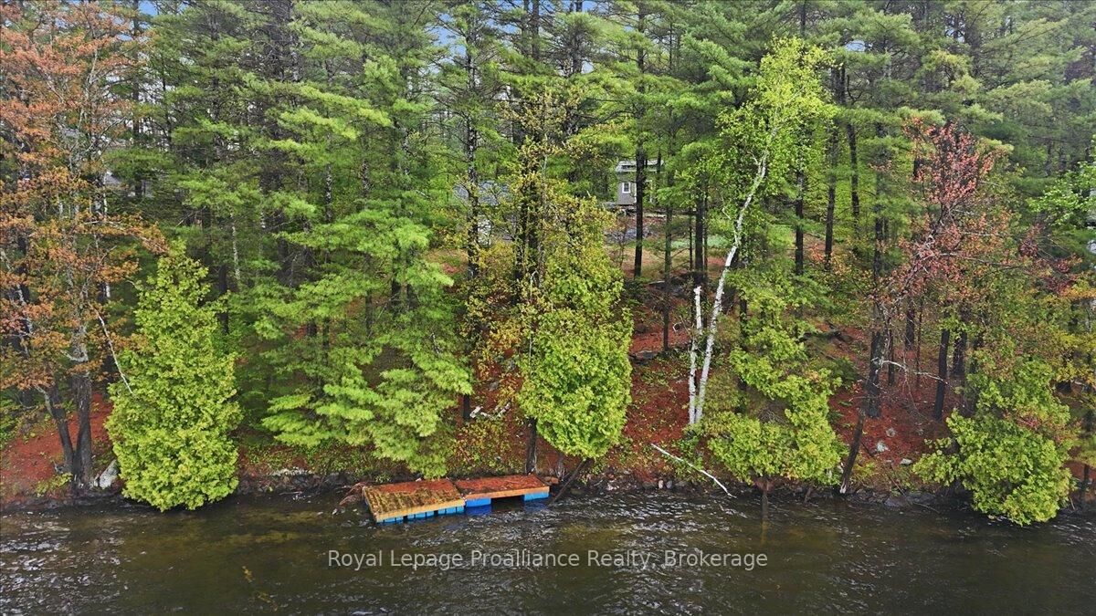Property Photo:  1419 Turtle Lake Lane  ON K0H 2M0 