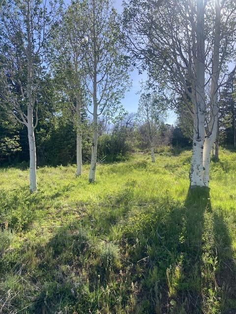 Property Photo:  271 N Whispering Pines Rd  UT 84767 