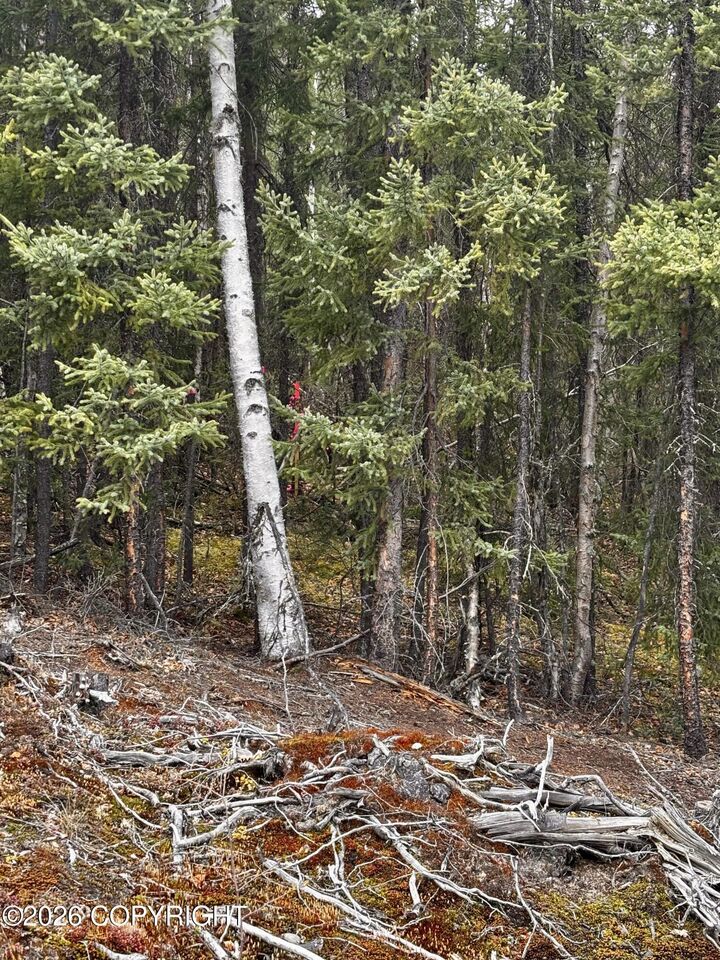 Property Photo: 000 Lake Road AK 99669