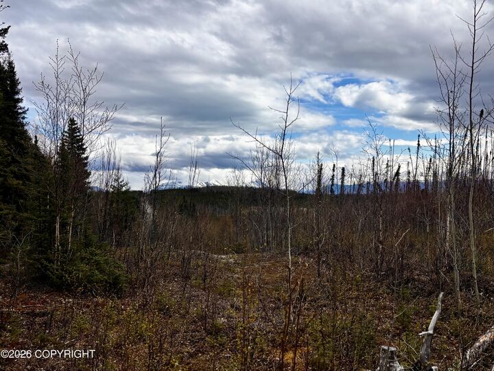 Property Photo: 000 Lake Road AK 99669