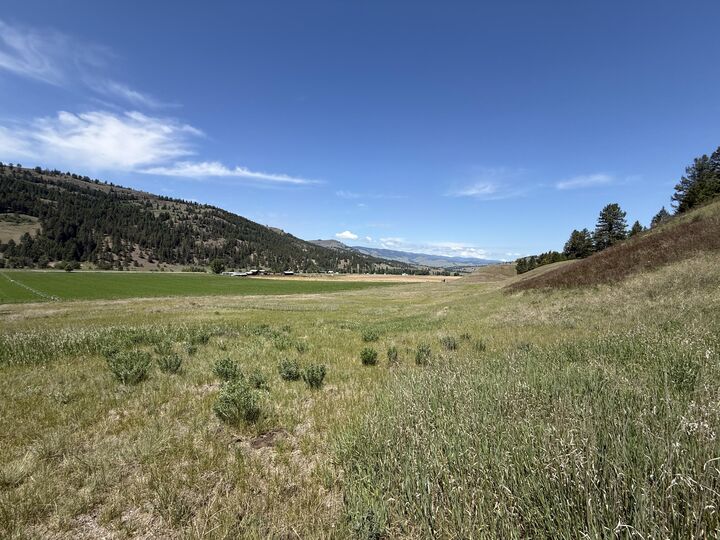 Property Photo: Tbd Art Creek Rd WA 99150