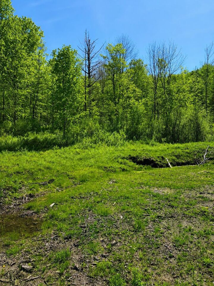 Property Photo:  0 Blake Hill Road  VT 05681 
