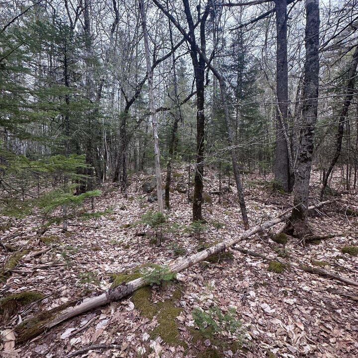Property Photo:  Lot 10 Moose Pit Road  NS B0T 1B0 