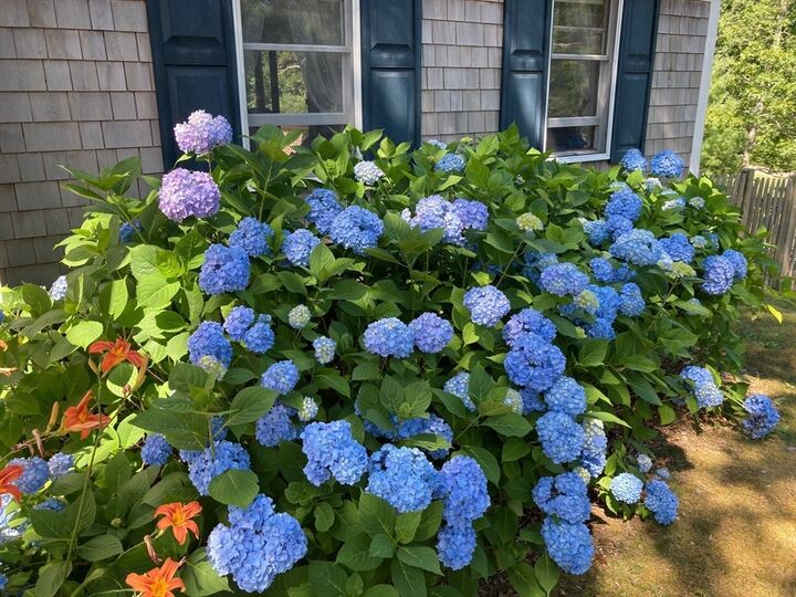 Property Photo:  38 Shorewood Dr  MA 02653 