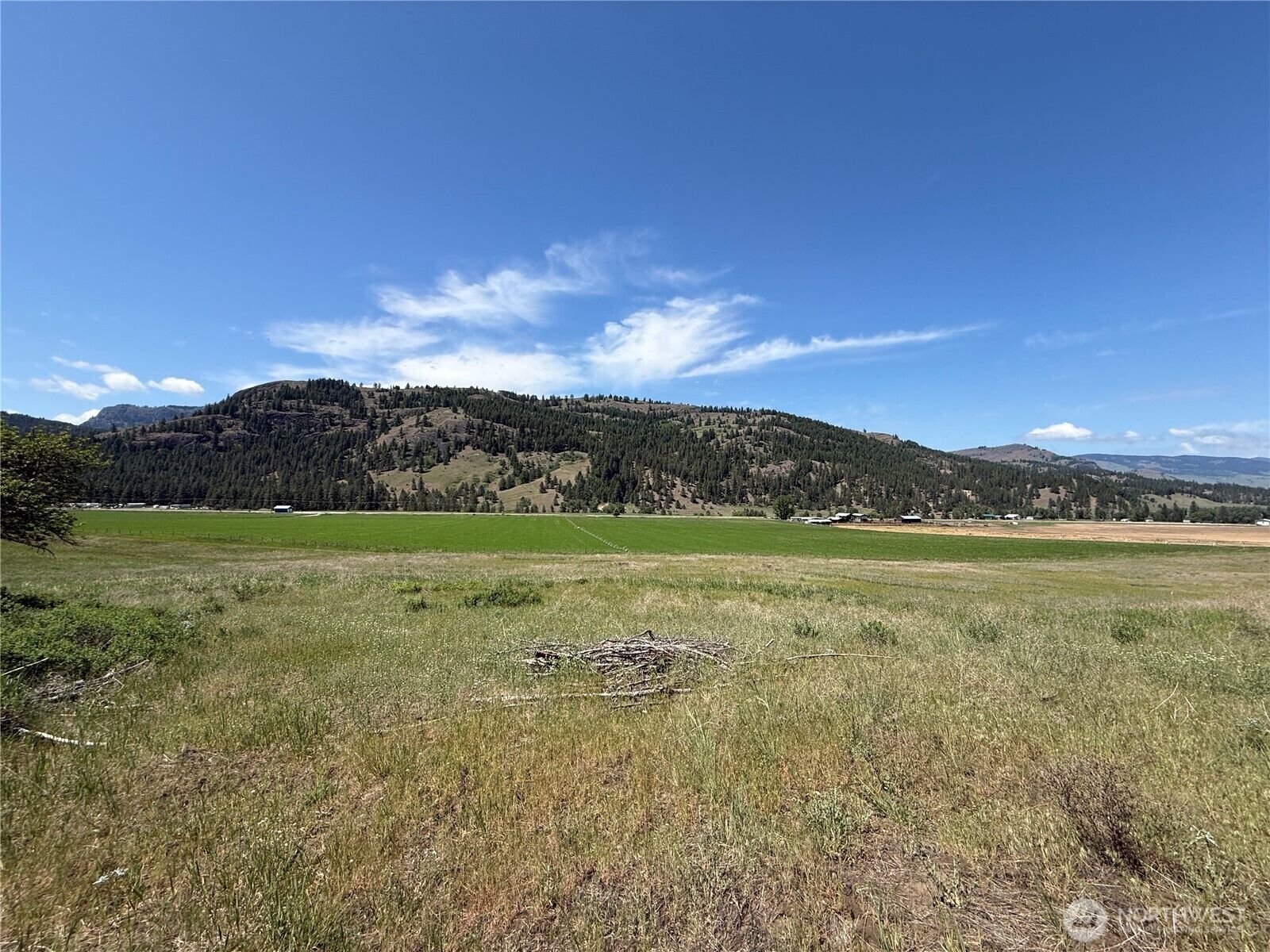 Property Photo: 0 Art Creek Road WA 99150