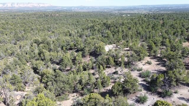 Property Photo:  Mile 51 Highway 9 East Zion 40 Acres  UT 84758 