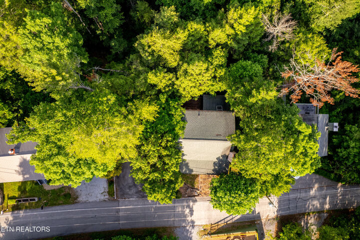 Property Photo:  124 Cutter Gap Rd  TN 37882 