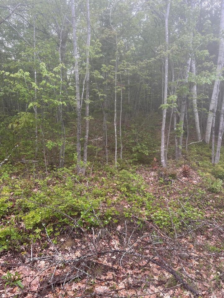 Property Photo: Lot 3 Morse District Road ME 04680