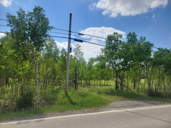 24166 Old Banff Coach Road — photo 1