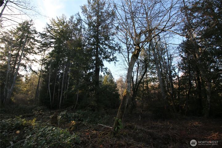 Property Photo: 0 91st Ave SW WA 98070