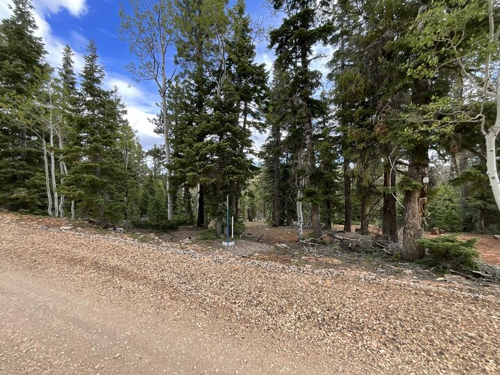 Property Photo:  175 S Lupin Ln  UT 84762 