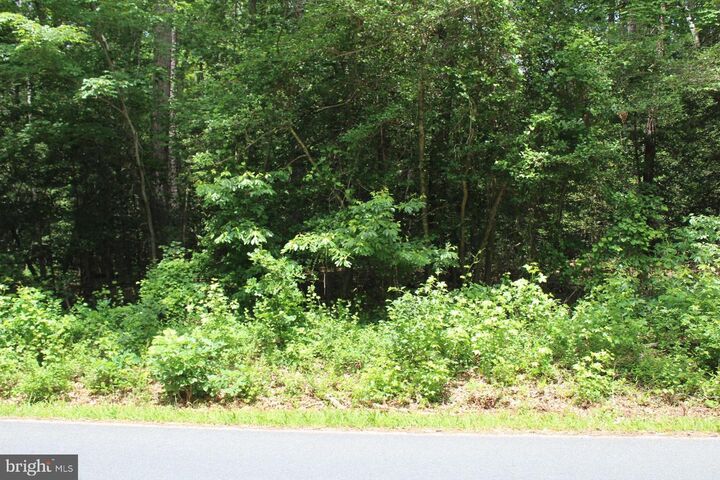 Property Photo:  Lot 3 Jackson Road  MD 21804 