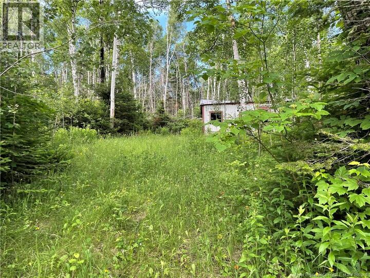 Property Photo:  755 Cape Road  NB E7N 1W5 