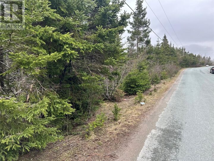 Property Photo:  54 Ridge Road  NL A0A 2R0 