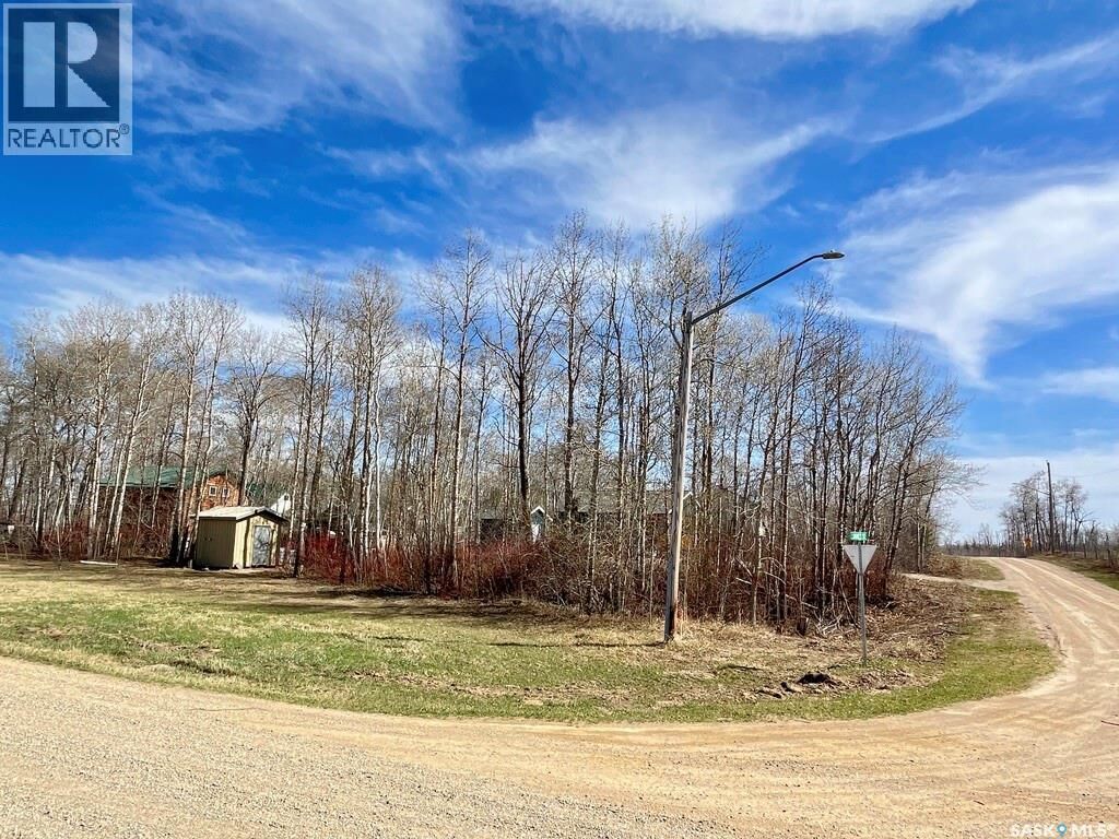 Property Photo:  114 James Street  SK S0A 0L1 