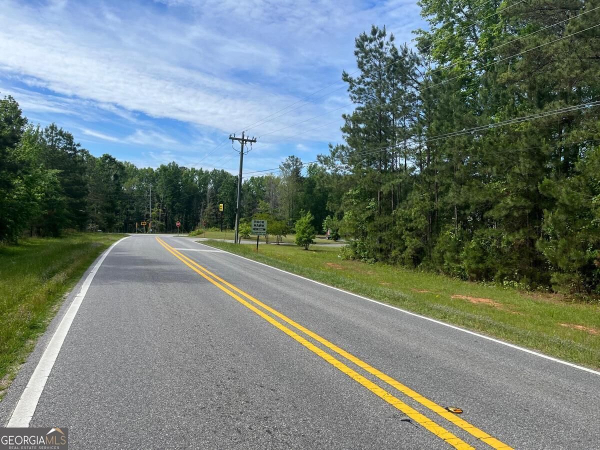 Property Photo: 3.5 +/- Acres New Phoenix Road GA 31024