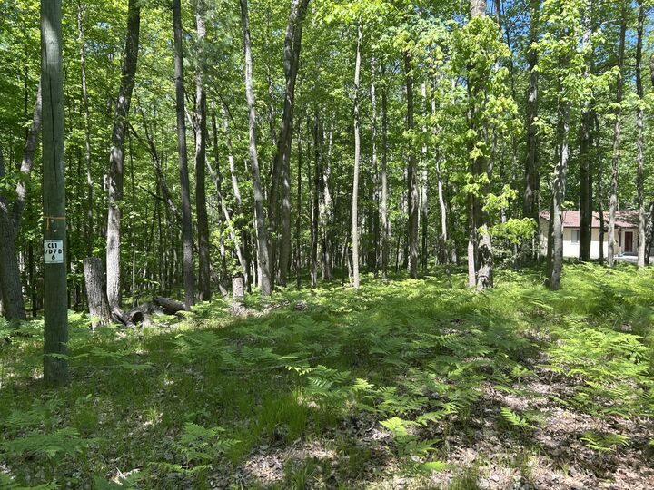 Property Photo:  8297 Highland Trail  MI 49346 