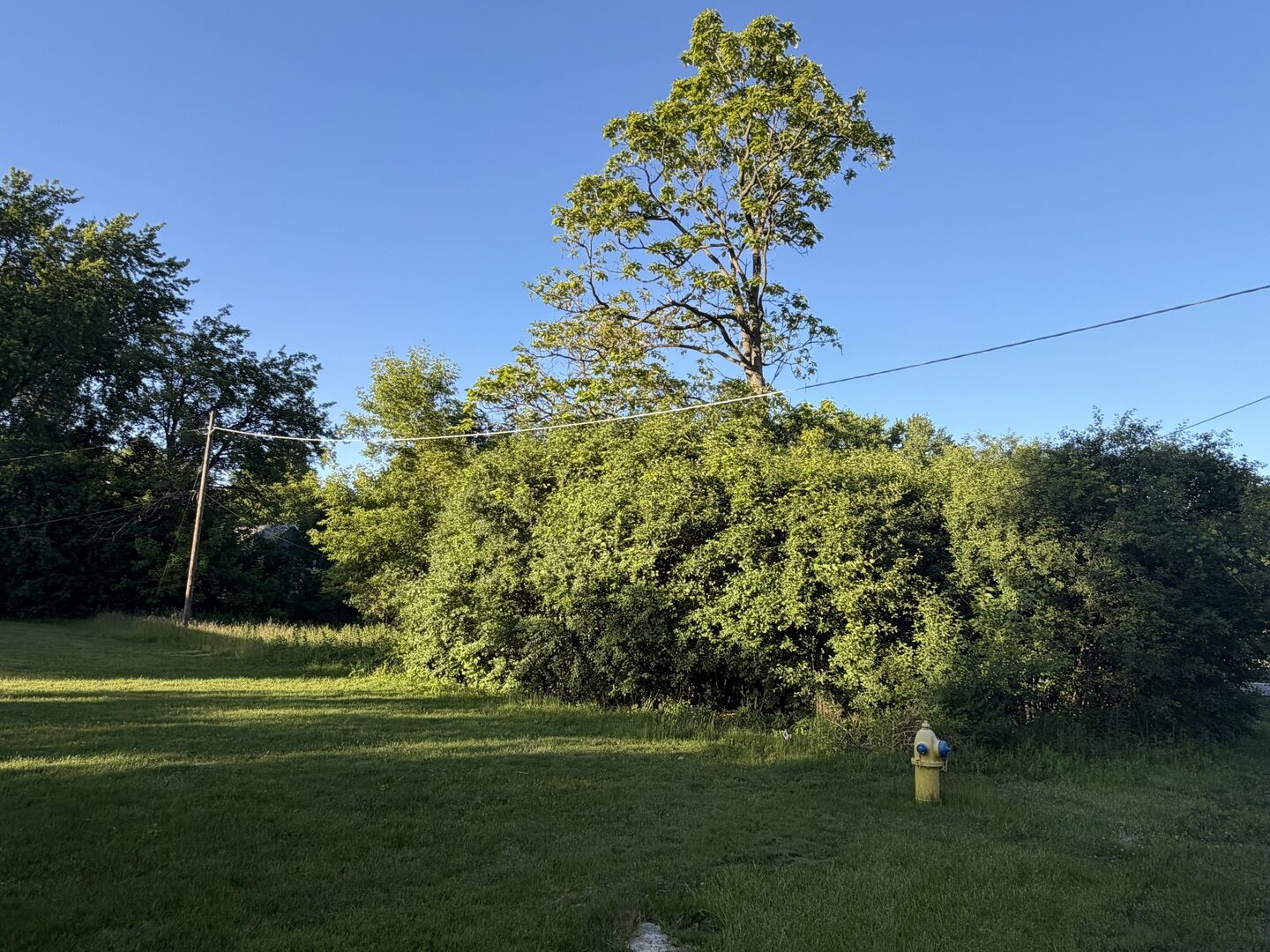 Property Photo:  911 Safford Avenue  IL 60044 