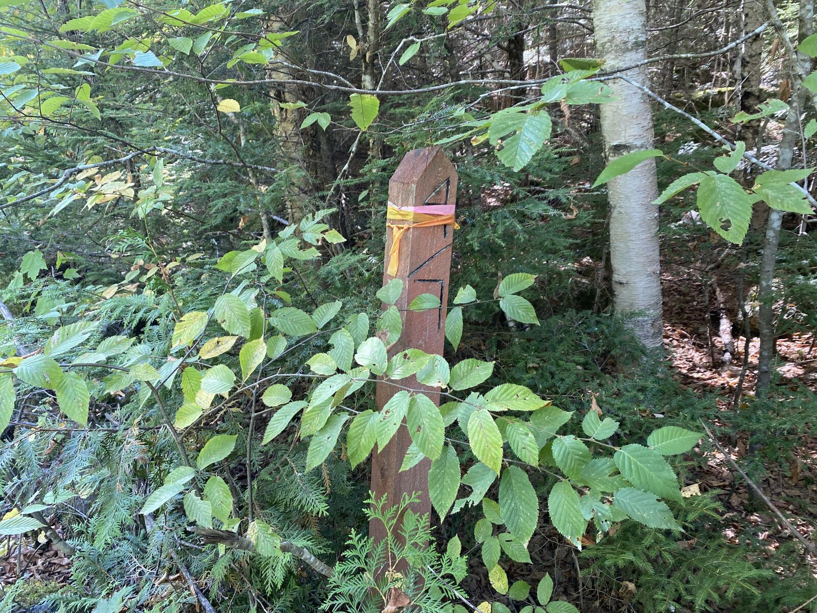 Property Photo:  M06-Lot18a Sys Road  ME 04487 