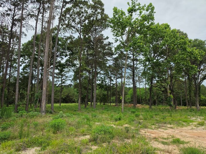 Property Photo:  1017 Cr 3325  TX 75938 