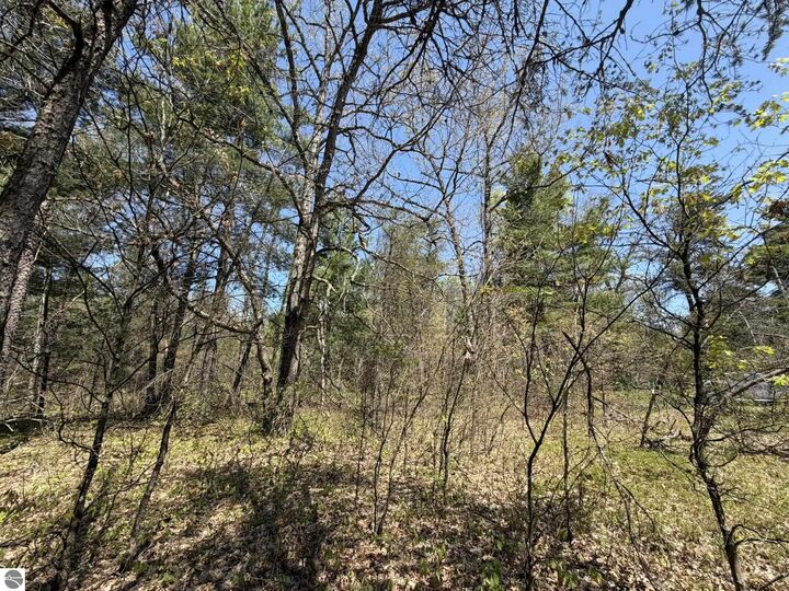 Property Photo: V/L US-10 MI 49642