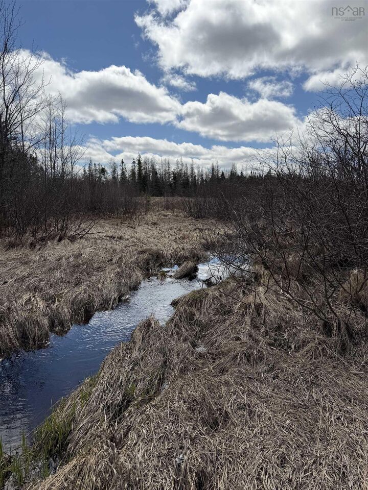 Property Photo:  Lot Cl2 Palmer Road  NS B0M 1Z0 