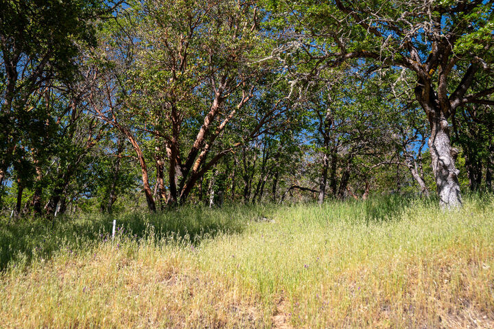 Property Photo:  0 Highway 234  OR 97502 