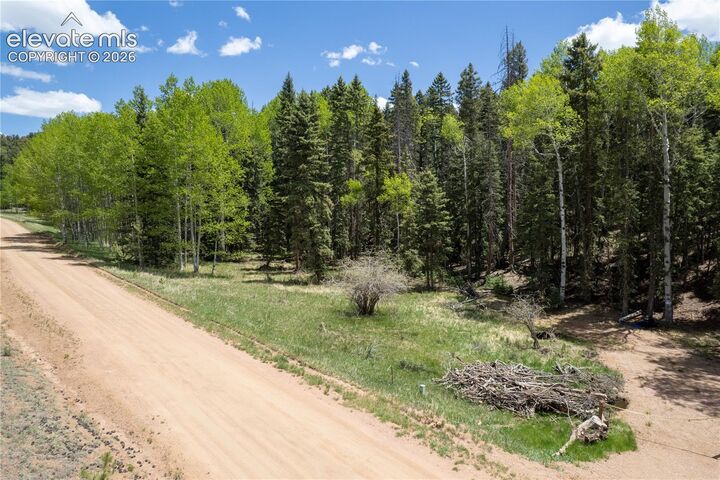 Property Photo:  546 Spring Valley Lane  CO 80816 