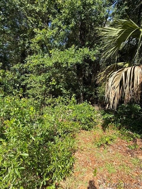 Property Photo:  444 N Hourglass Terrace  FL 34429 