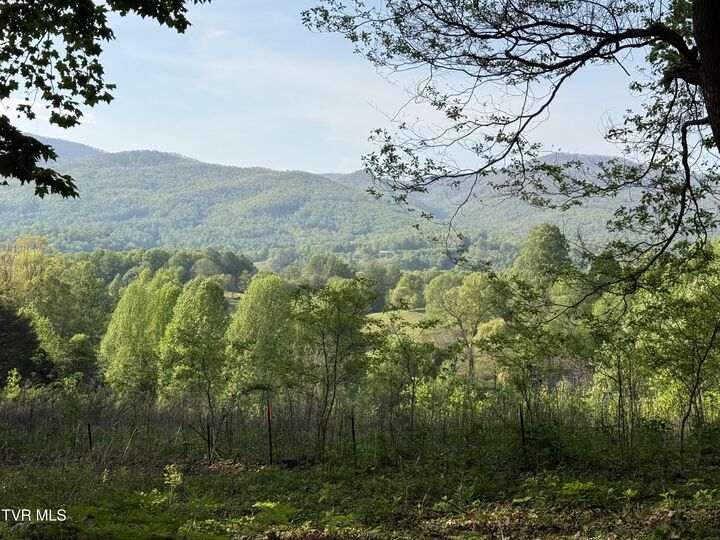 Property Photo:  Tbd Bobs Hollow Road Lot 4  TN 37643 