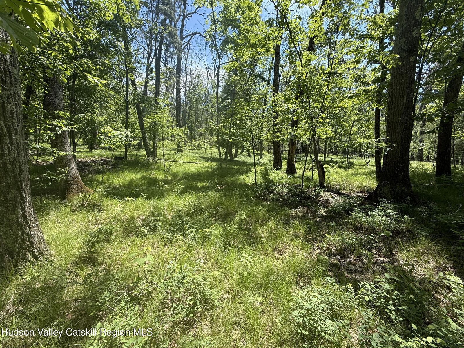 Property Photo:  338 Mossy Hill  NY 12414 
