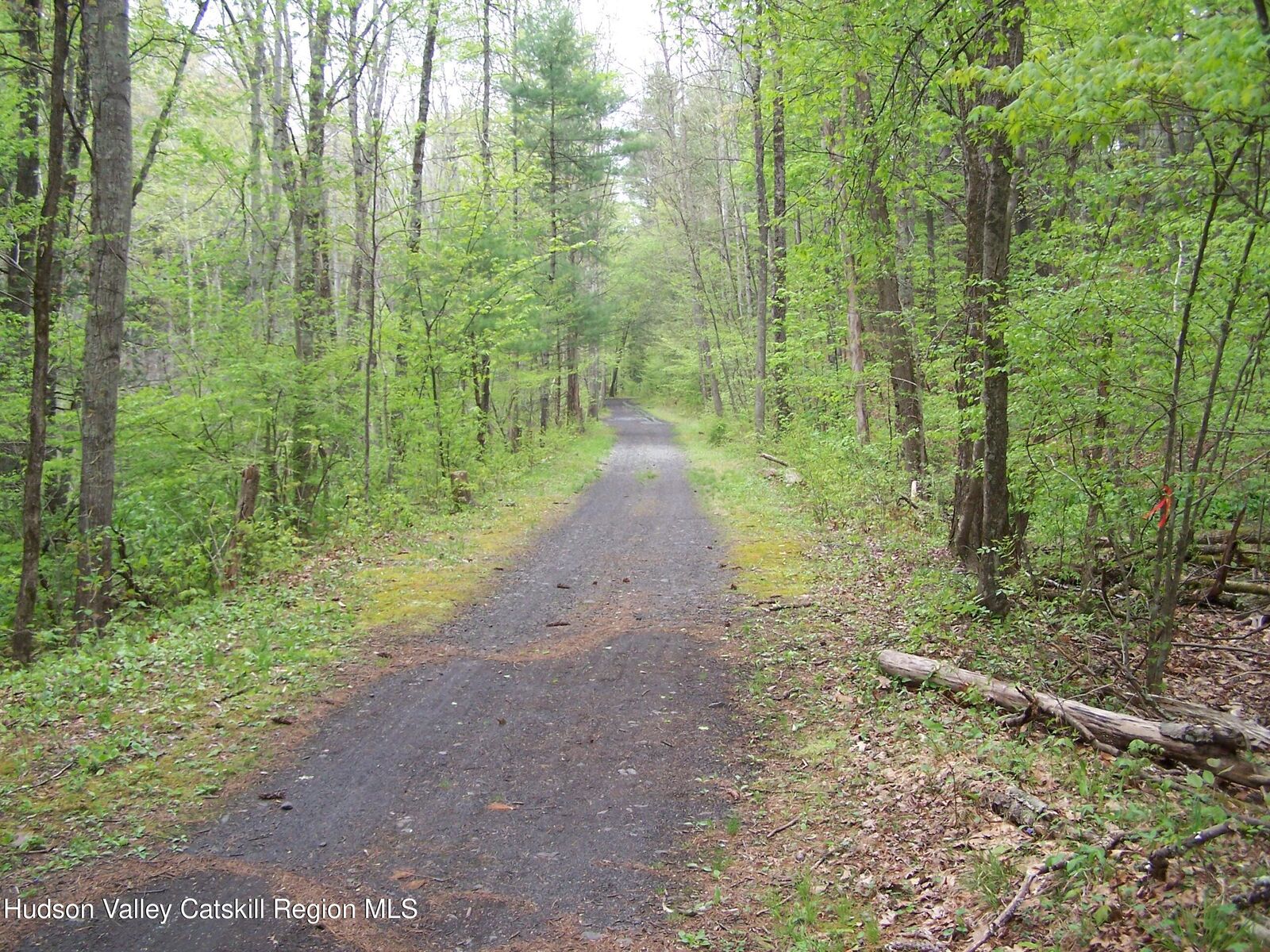 Property Photo:  Tbd Heinle  NY 12401 