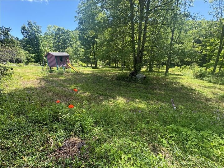 Property Photo:  5386 County Route 11  NY 14810 