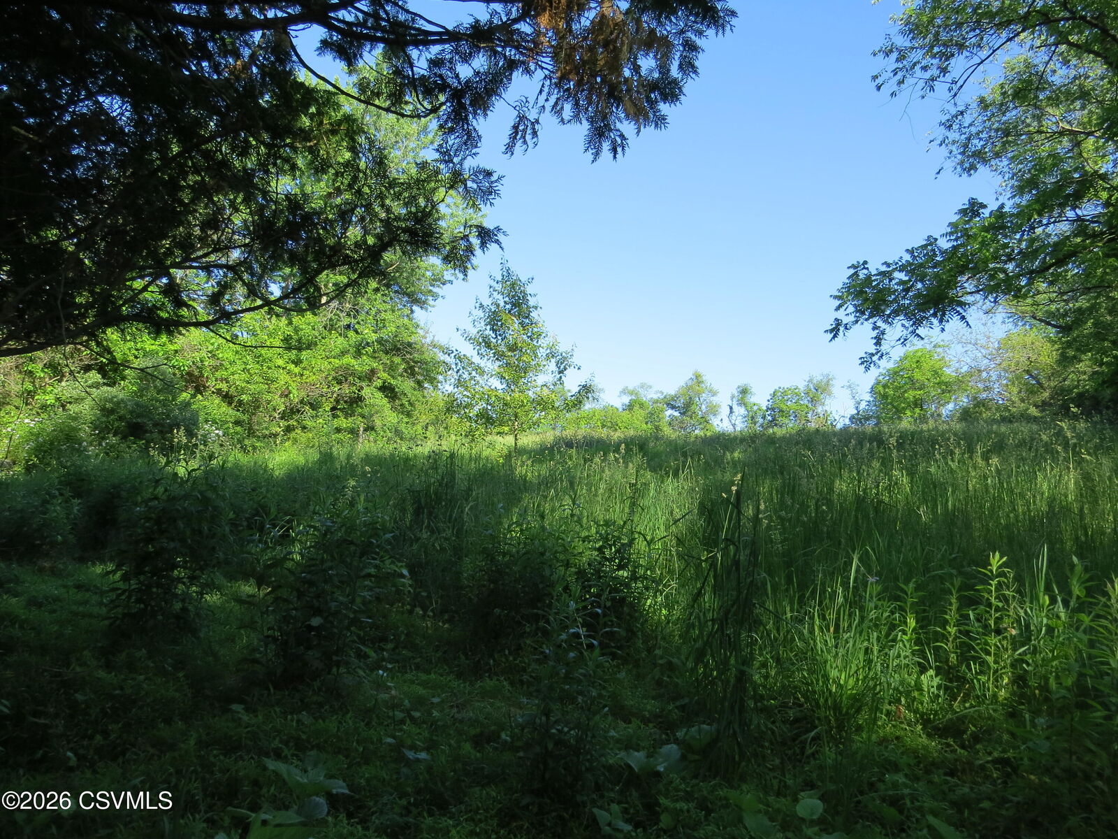 Property Photo:  Chapins Road  PA 17815 