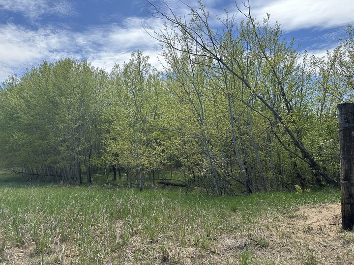 Property Photo:  Range Rd 205  AB T8L 4B3 