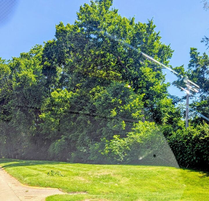 Property Photo:  1508 Versailles Road  KY 40504 