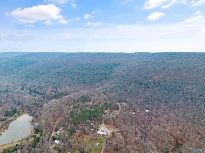 Property Photo:  20 Acres  AL 35751 