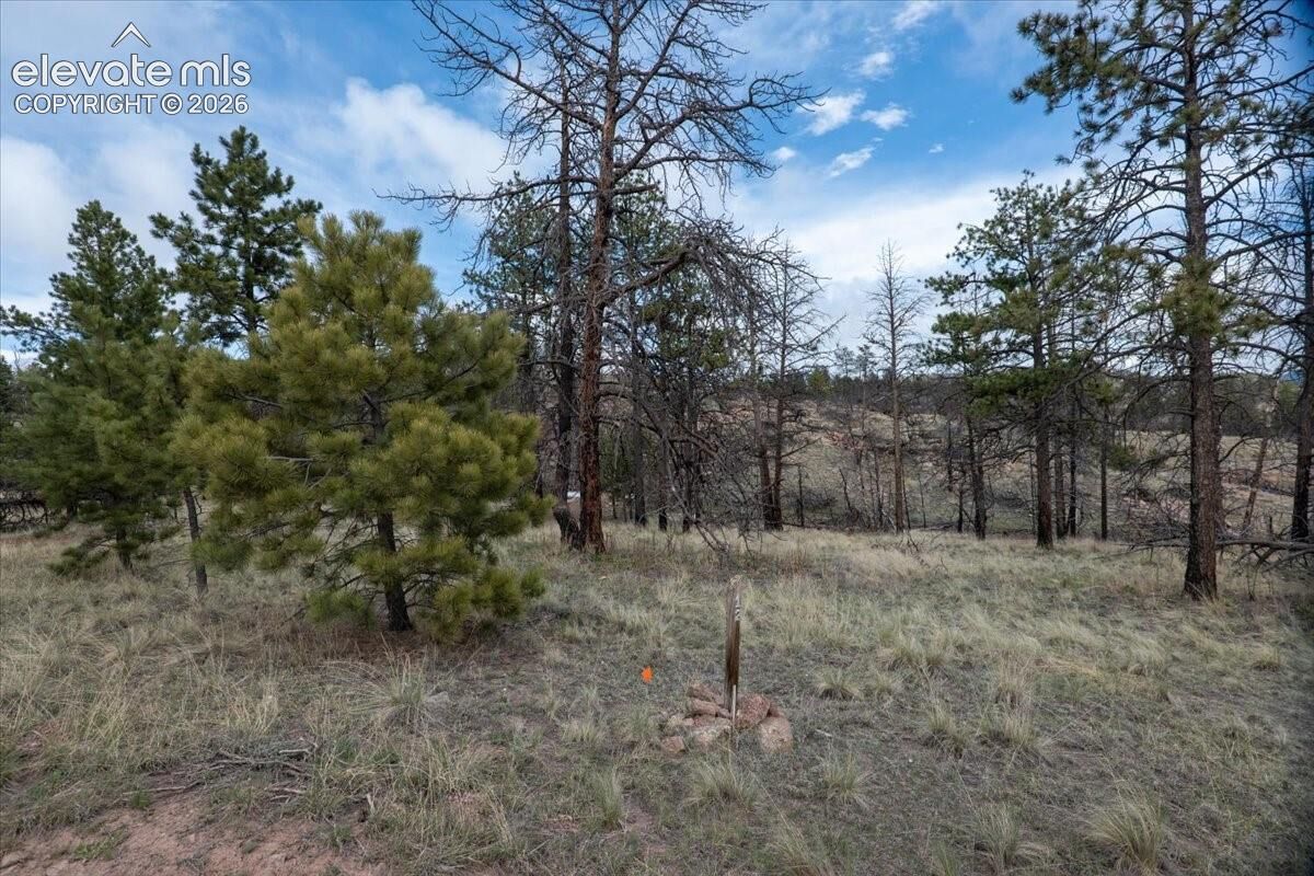 Property Photo: 144 Chapparal Trail CO 80816