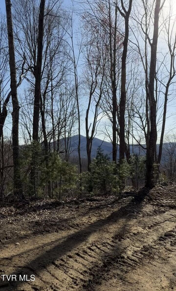 Property Photo:  Tbd Heaton Branch Road  TN 37640 