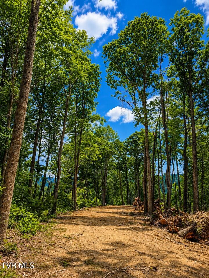 Property Photo:  Tbd Heaton Branch Road  TN 37640 