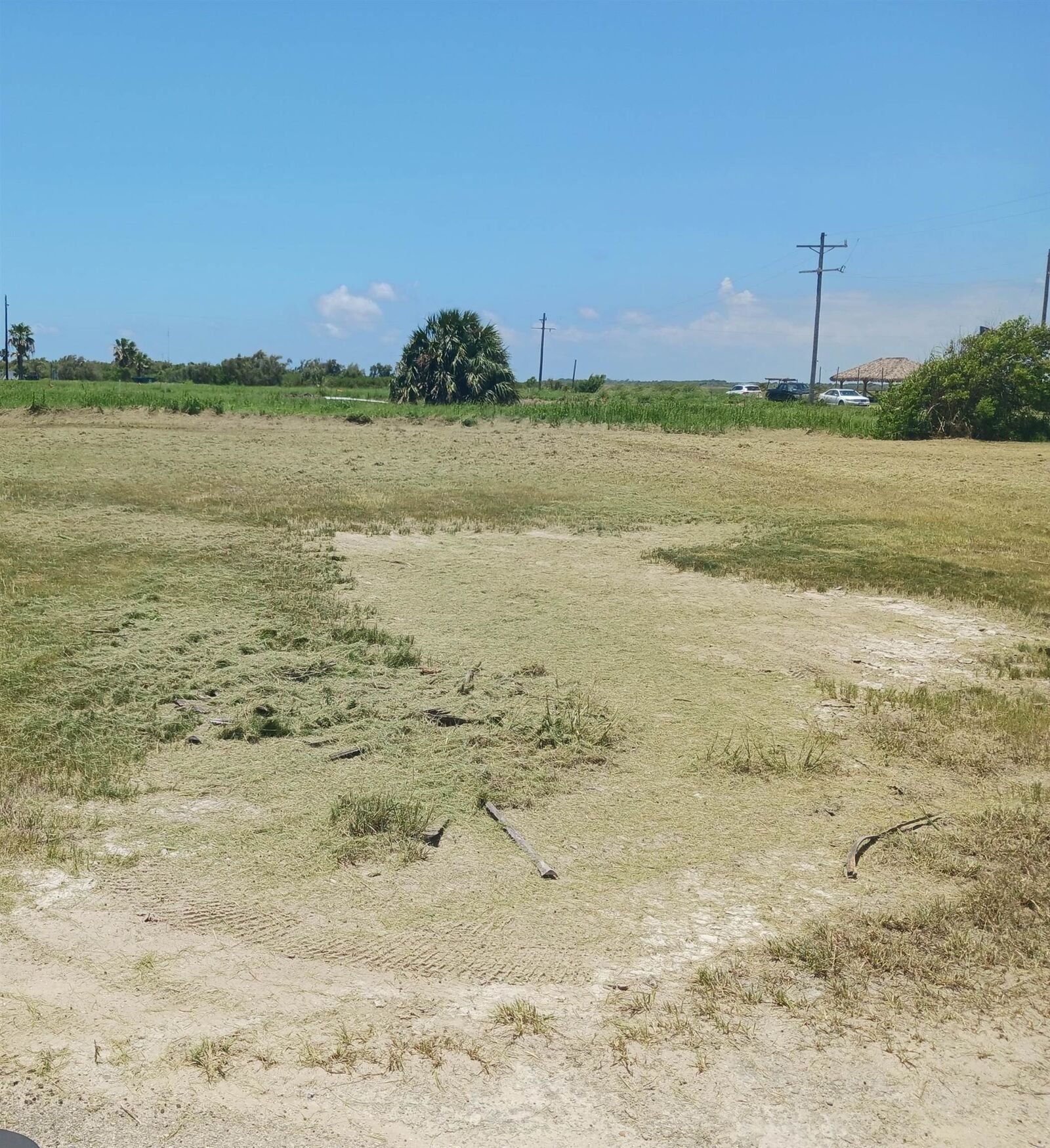 Property Photo:  1035 Brighton Jones Boulevard  TX 77617 