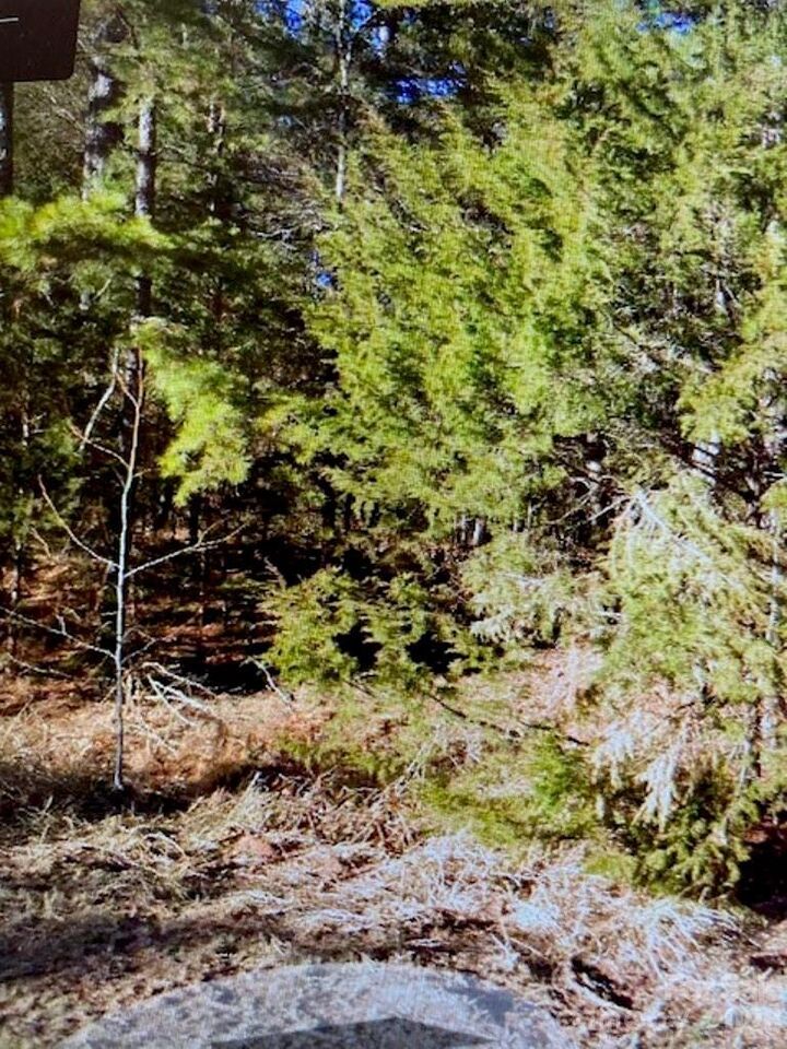 Property Photo:  1220 Long Pine Church Road  NC 28133 