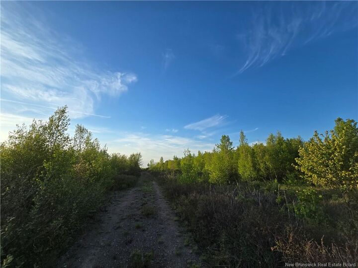 Property Photo:  Lot 1 Dingley Road  NB E4Z 1W1 