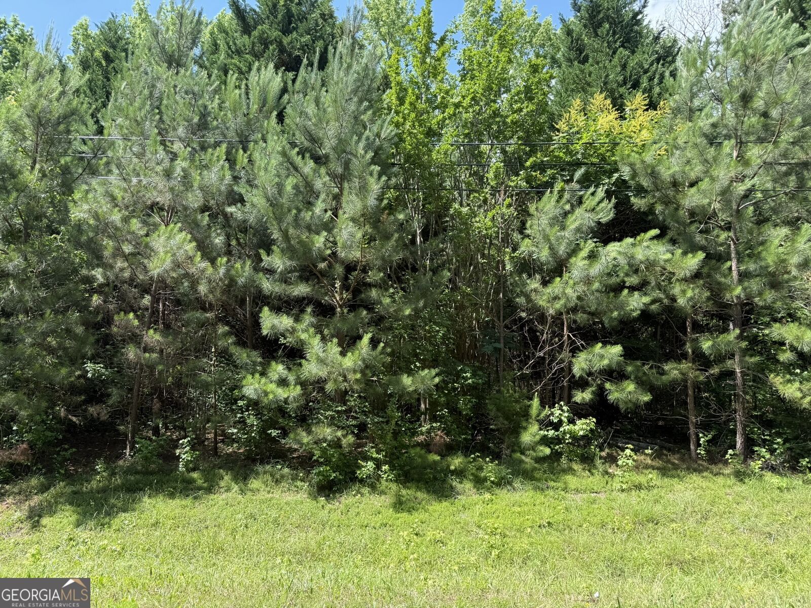 Property Photo:  1425 River Road  GA 31830 