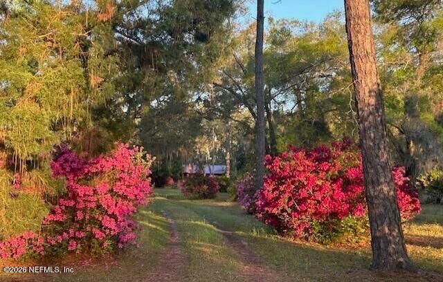 Property Photo:  751 N Highway 17  FL 32177 