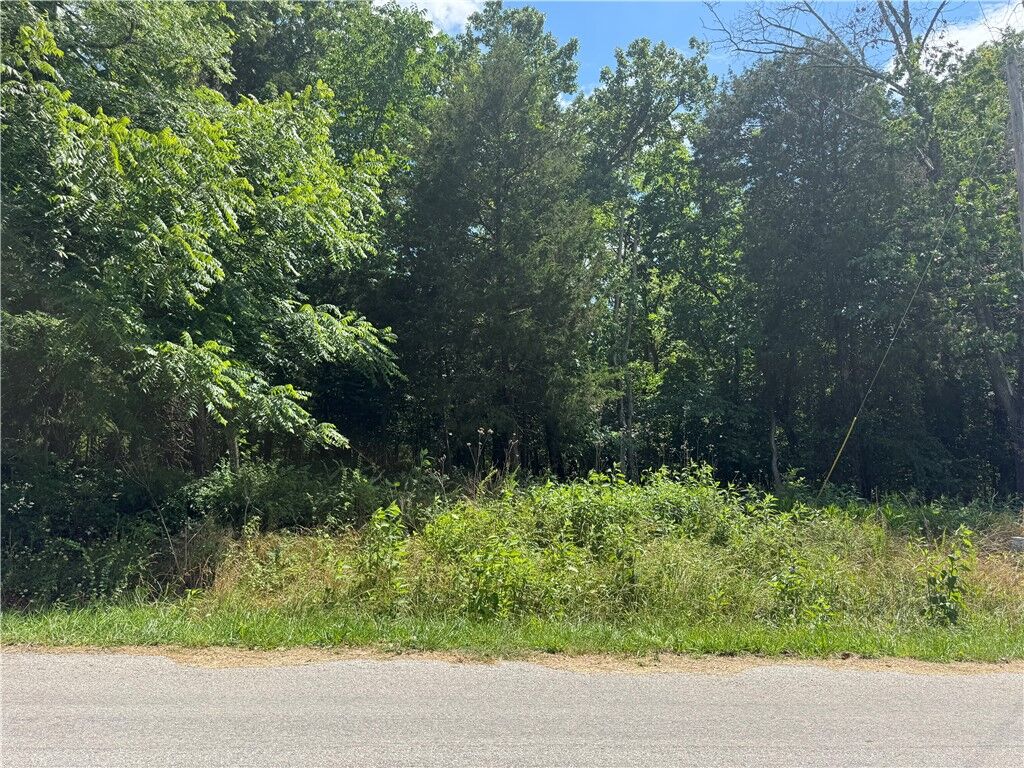 Property Photo: Lot 18 Pitchford Lane AR 72714