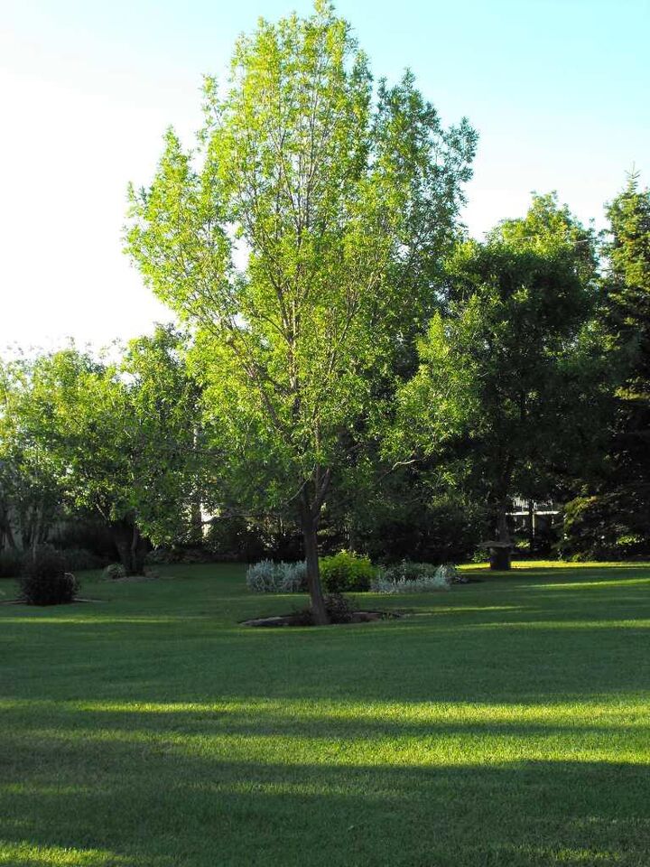 Property Photo:  112 Grey Street  AB T0L 1A0 