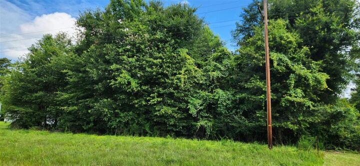Property Photo:  E Highway 190 E  LA 70657 