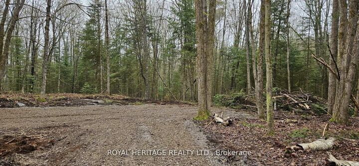 Property Photo:  0B Reid Street  ON K0M 2A0 
