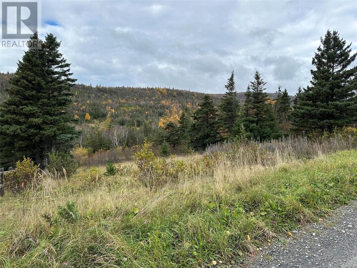 Property Photo:  Lots 0-3 Neddies Harbour Road  NL A0K 3V0 